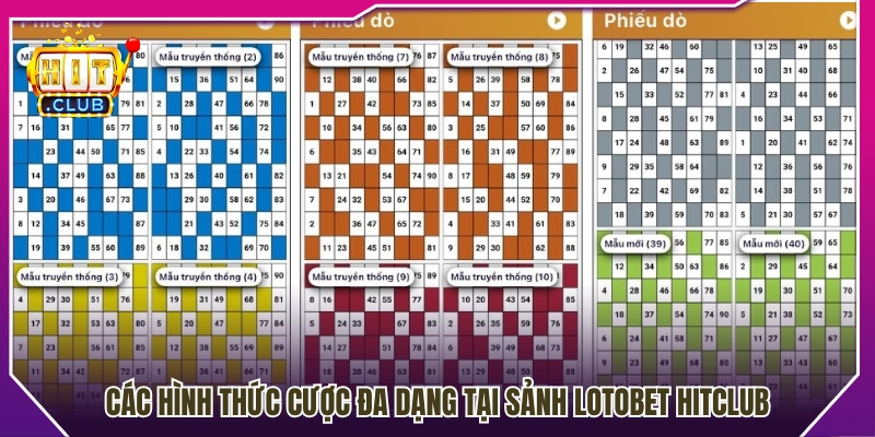 Tổng hợp các loại hình tham gia phổ biến 