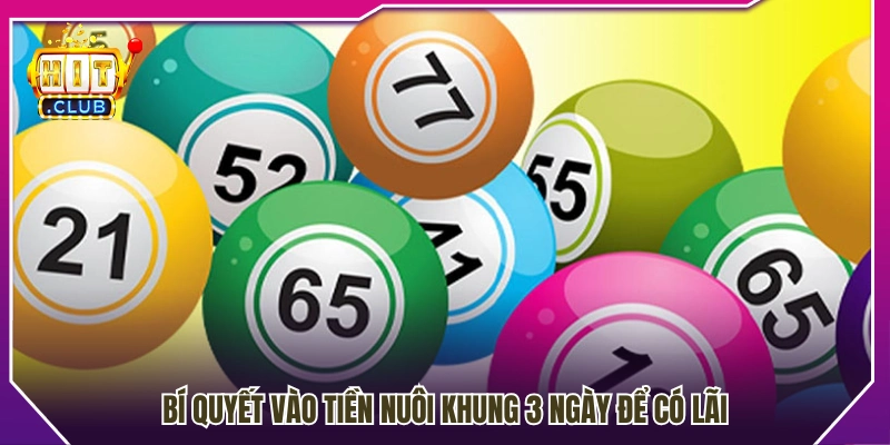 Cách phân bổ vốn khi nuôi lô khung 3 ngày có lãi